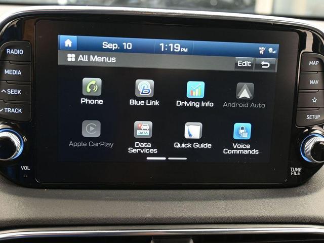 Photo of 2020 Rainforest Hyundai SANTA FE