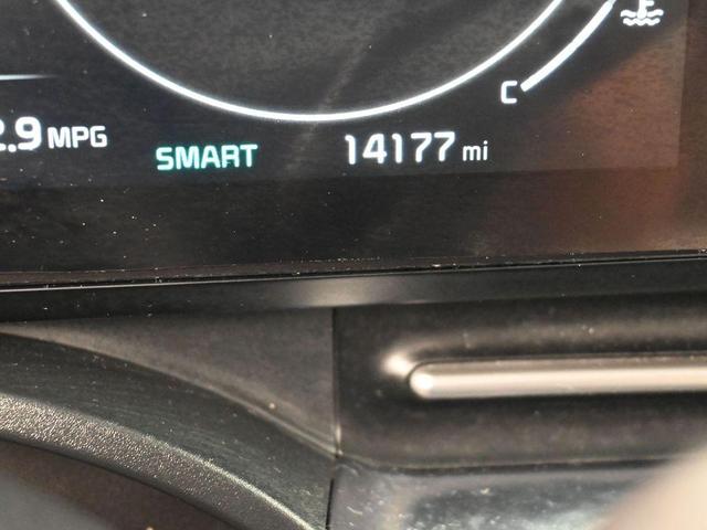 Photo of 2024 Ceramic Silver Kia Carnival