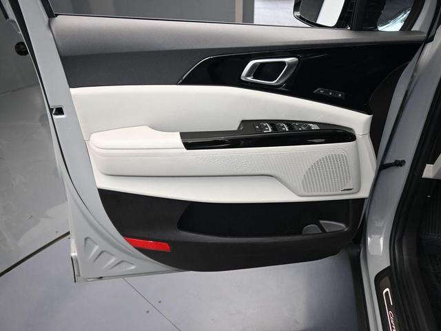 Photo of 2024 Ceramic Silver Kia Carnival
