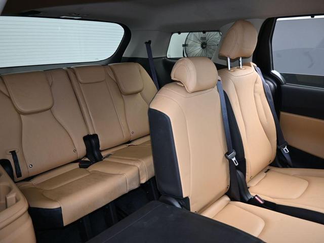 Photo of 2024 Metal Kia Carnival