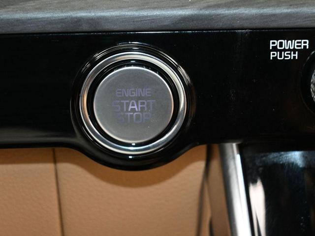 Photo of 2024 Metal Kia Carnival