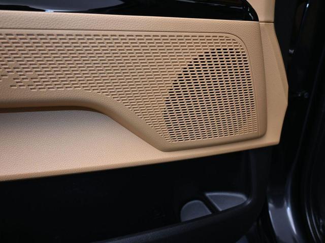 Photo of 2024 Metal Kia Carnival