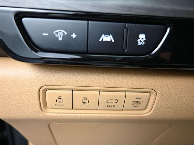 Photo of 2024 Metal Kia Carnival