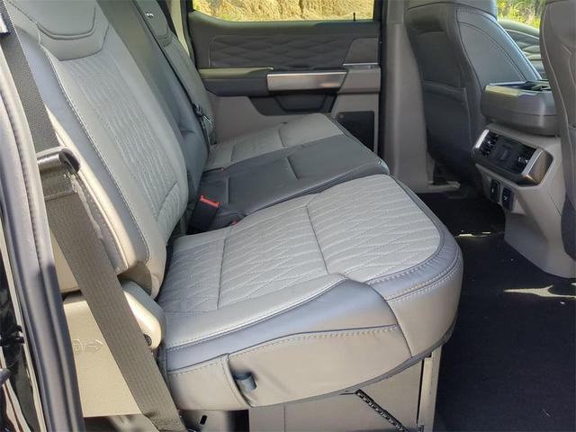 Photo of 2025 Agate Black Metallic Ford F-150