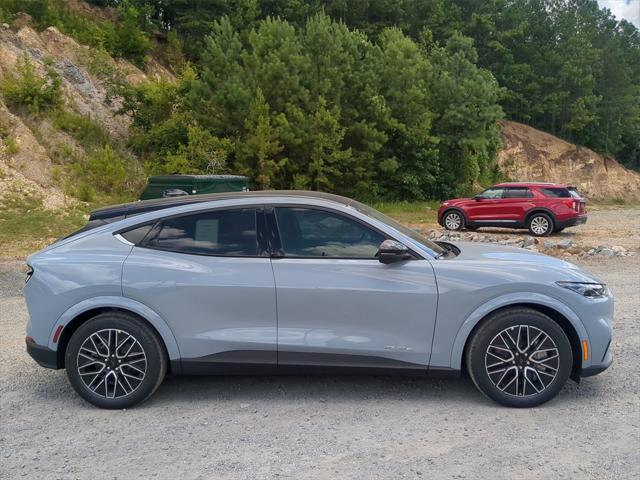 Photo of 2025 Glacier Gray Metallic TriCoat Ford Mustang Mach-E