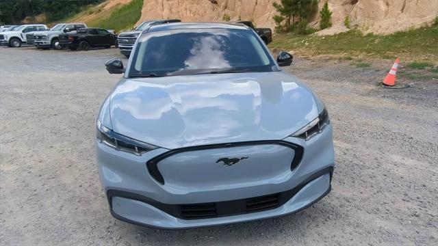 Photo of 2025 Glacier Gray Metallic TriCoat Ford Mustang Mach-E