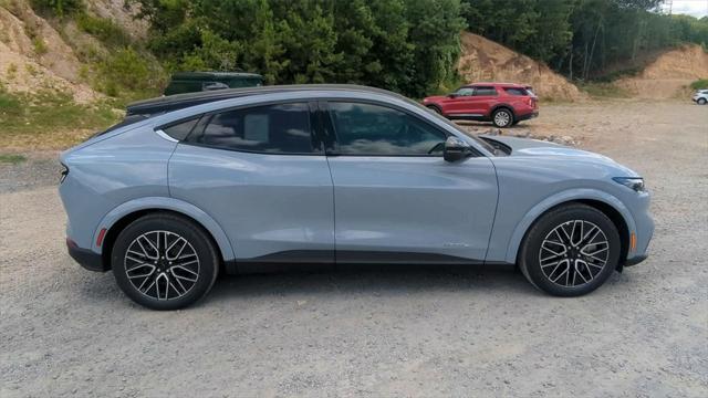 Photo of 2025 Glacier Gray Metallic TriCoat Ford Mustang Mach-E
