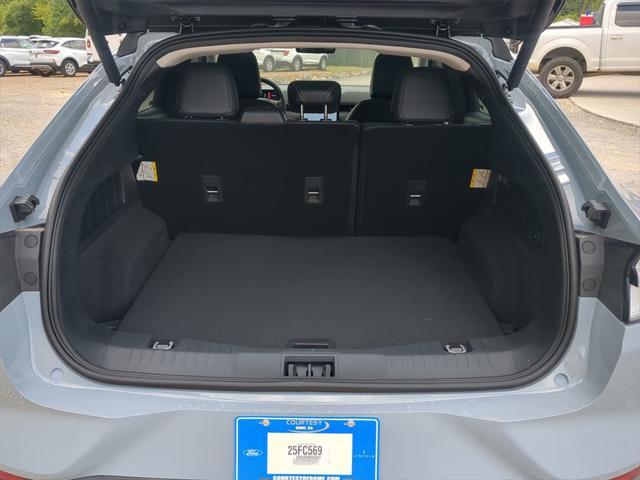 Photo of 2025 Glacier Gray Metallic TriCoat Ford Mustang Mach-E