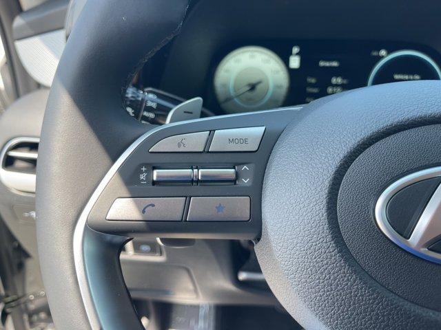 Photo of 2025 Silver Hyundai PALISADE