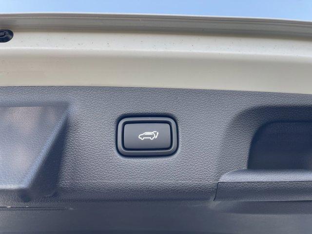 Photo of 2025 Hyper White Hyundai PALISADE