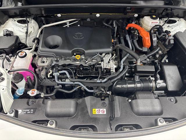 Photo of 2021 Blizzard Pearl Toyota Venza