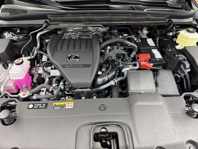 Photo of 2025 Caviar Lexus RX 350