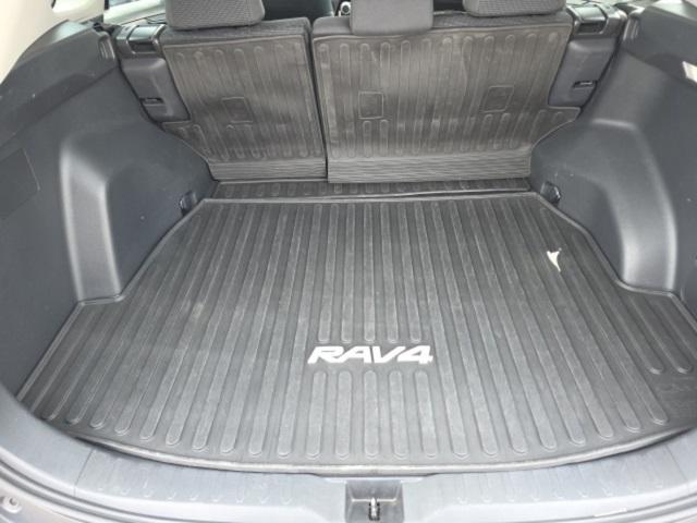 Photo of 2024 Ice Toyota RAV4