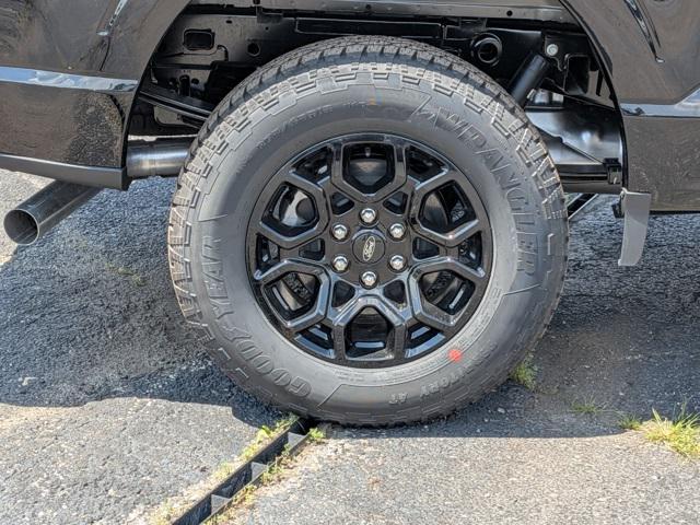Photo of 2025 Agate Black Metallic Ford F-150
