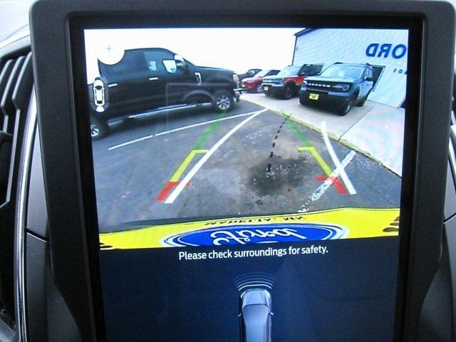 Photo of 2024 Green Metallic Ford Edge