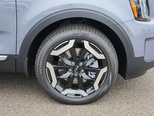 Photo of 2025 Everlasting Silver Kia Telluride