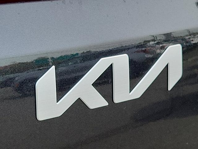 Photo of 2026 Metal Kia Carnival