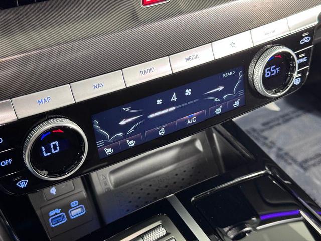 Photo of 2024 Vik Black Genesis G80