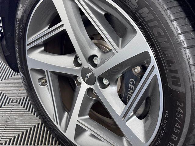 Photo of 2024 Vik Black Genesis G80