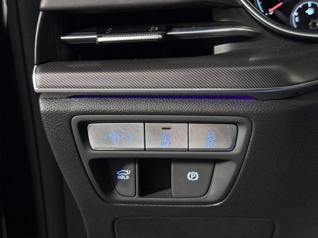 Photo of 2024 Vik Black Genesis G80