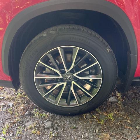 Photo of 2022 Redline Lexus NX 350