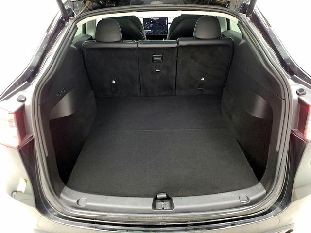 Photo of 2021 Black Tesla Model Y