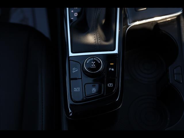 Photo of 2024 Jungle Green Kia Sportage
