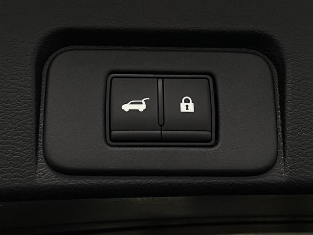 Photo of 2025 Baja Storm Nissan Rogue