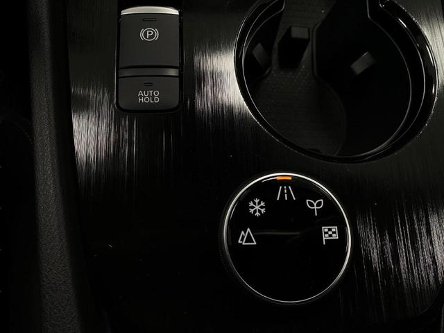 Photo of 2025 Baja Storm Nissan Rogue