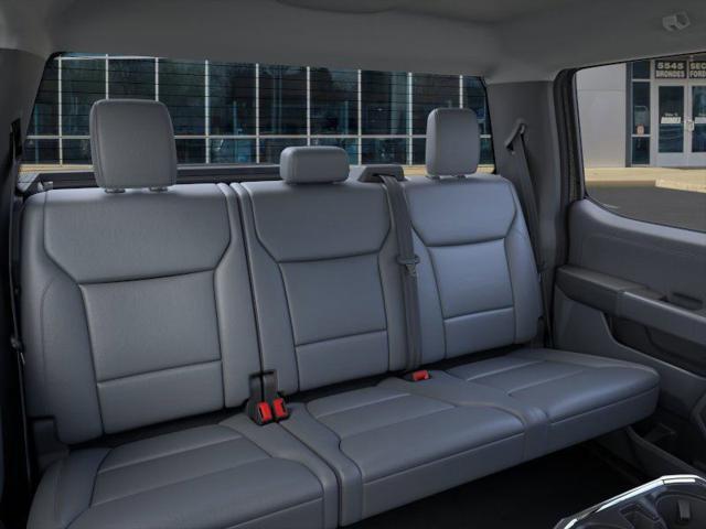Photo of 2025 Carbonized Gray Metallic Ford F-150 Lightning