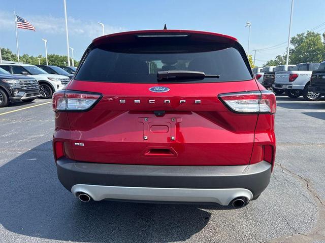 Photo of 2022 Rapid Red Metallic Tinted Clearcoat Ford Escape