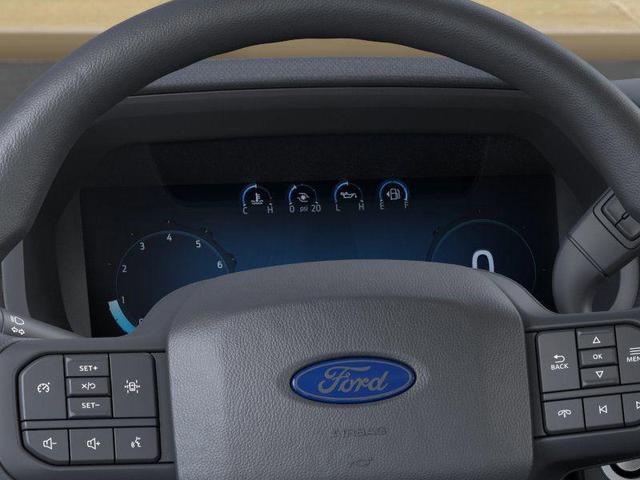 Photo of 2025 Oxford White Ford F-150