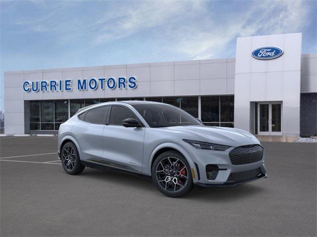 Photo of 2025 Glacier Gray Metallic TriCoat Ford Mustang Mach-E
