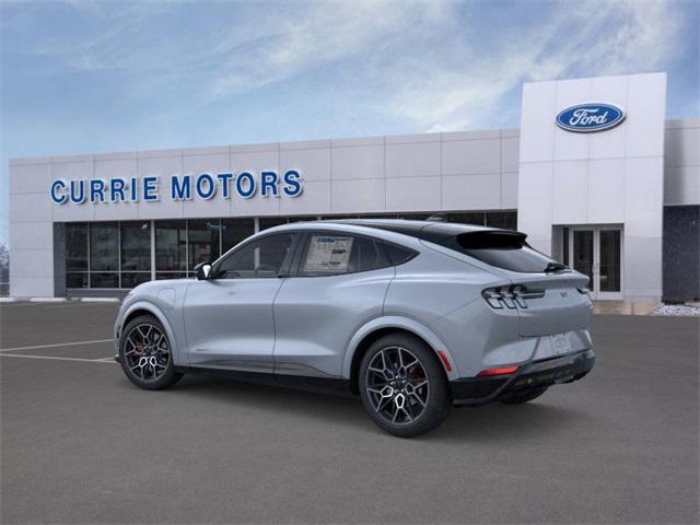 Photo of 2025 Glacier Gray Metallic TriCoat Ford Mustang Mach-E