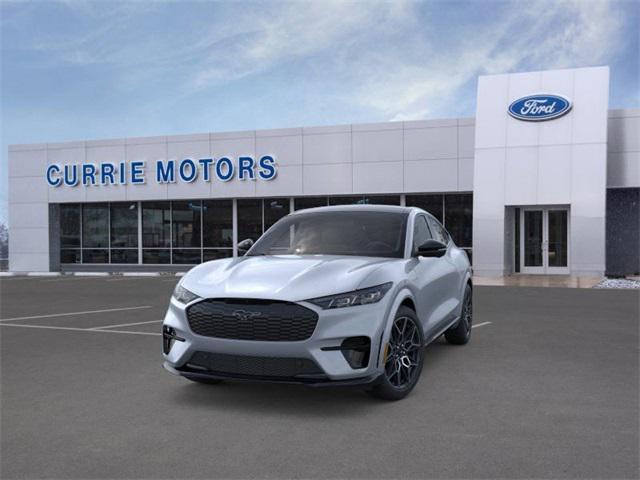Photo of 2025 Glacier Gray Metallic TriCoat Ford Mustang Mach-E