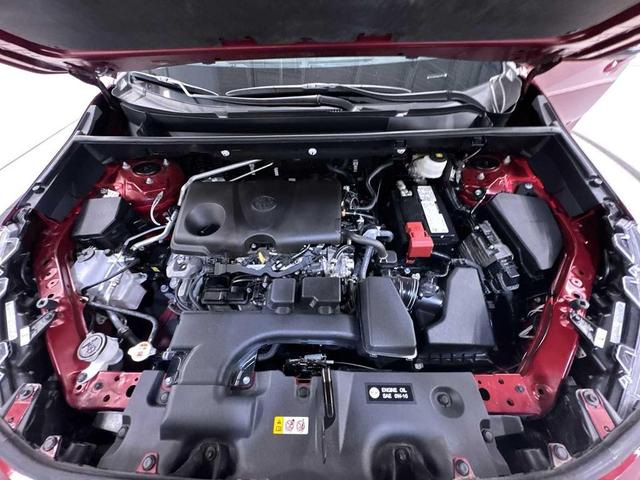 Photo of 2024 Ruby Flare Pearl Toyota RAV4