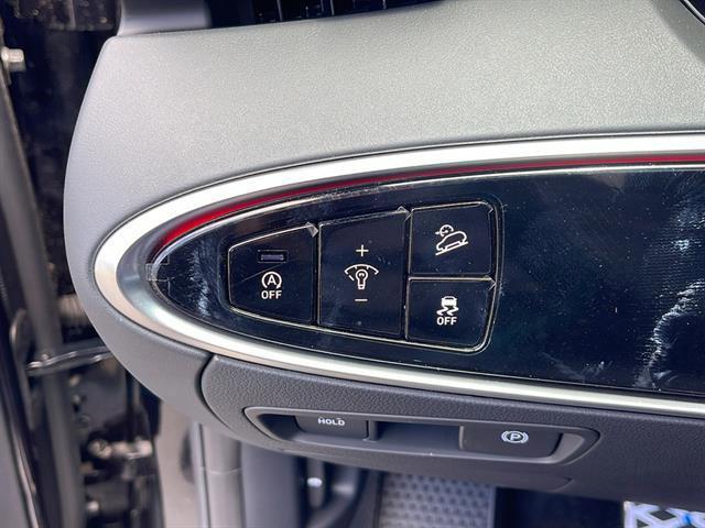 Photo of 2025 Vik Black Genesis GV70