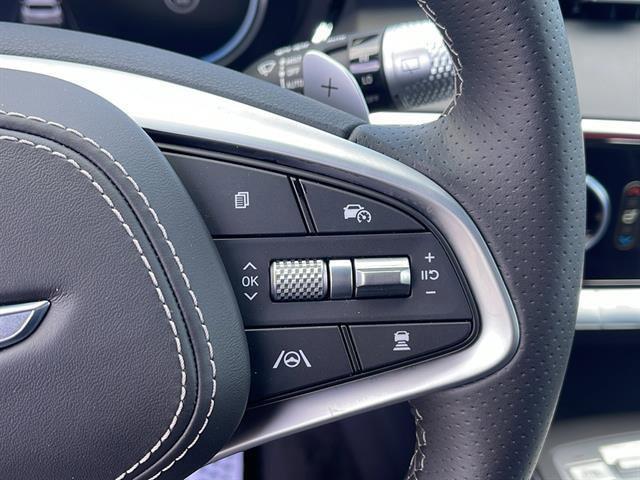 Photo of 2025 Vik Black Genesis GV70