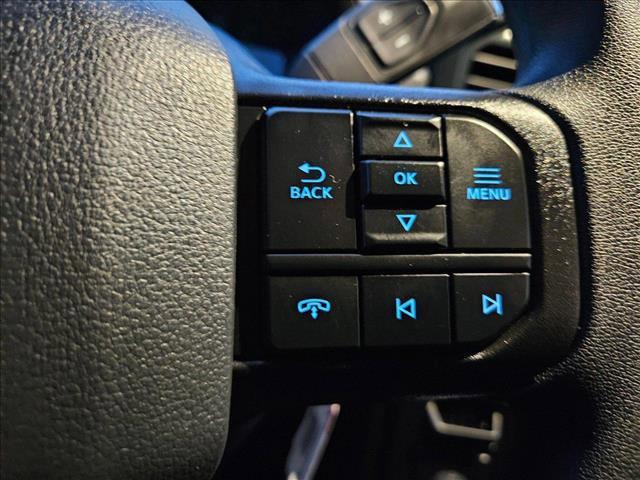 Photo of 2025 Agate Black Metallic Ford F-150