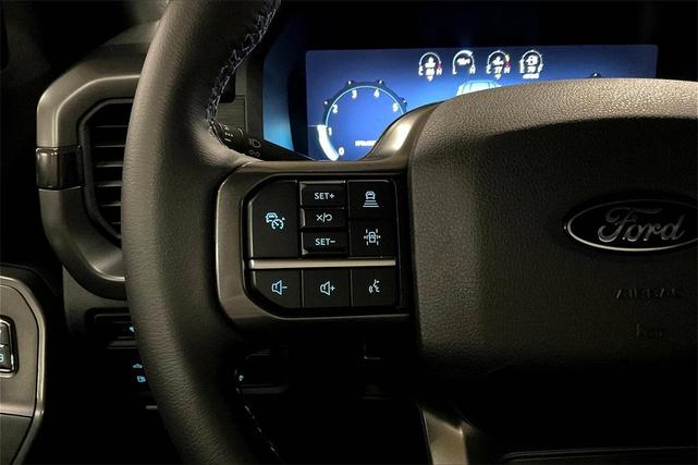 Photo of 2024 Gray Metallic Ford F-150