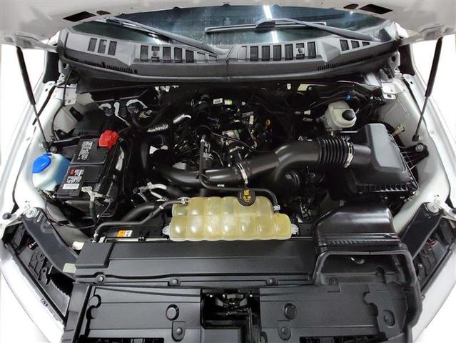 Photo of 2019 White Ford F-150