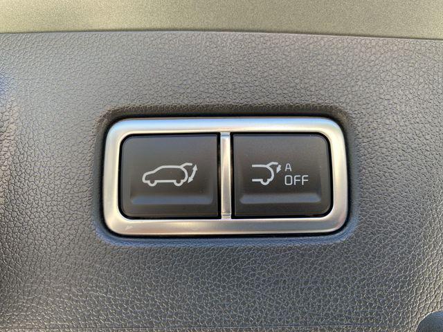 Photo of 2025 Jungle Green Kia Sorento