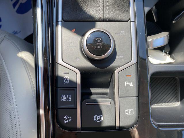 Photo of 2025 Jungle Green Kia Sorento