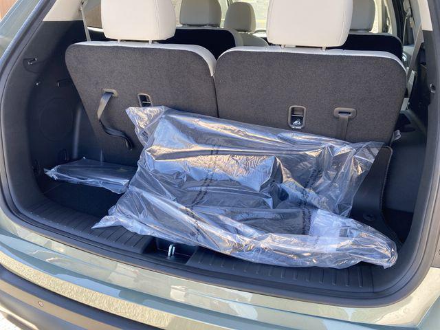 Photo of 2025 Jungle Green Kia Sorento