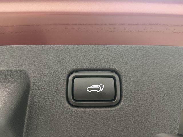 Photo of 2023 Dawning Red Kia Sportage