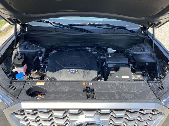 Photo of 2022 Rainforest Hyundai PALISADE