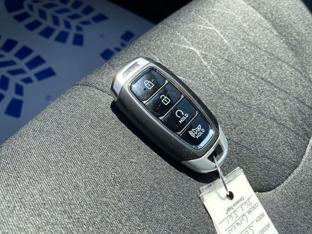 Photo of 2022 Rainforest Hyundai PALISADE
