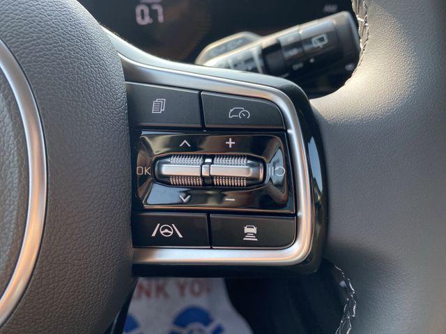 Photo of 2025 Panthera Metal Kia Sorento