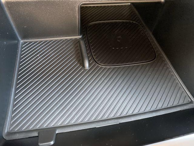 Photo of 2025 Panthera Metal Kia Sorento