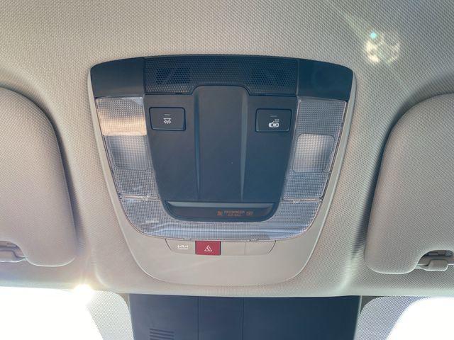 Photo of 2025 Panthera Metal Kia Sorento